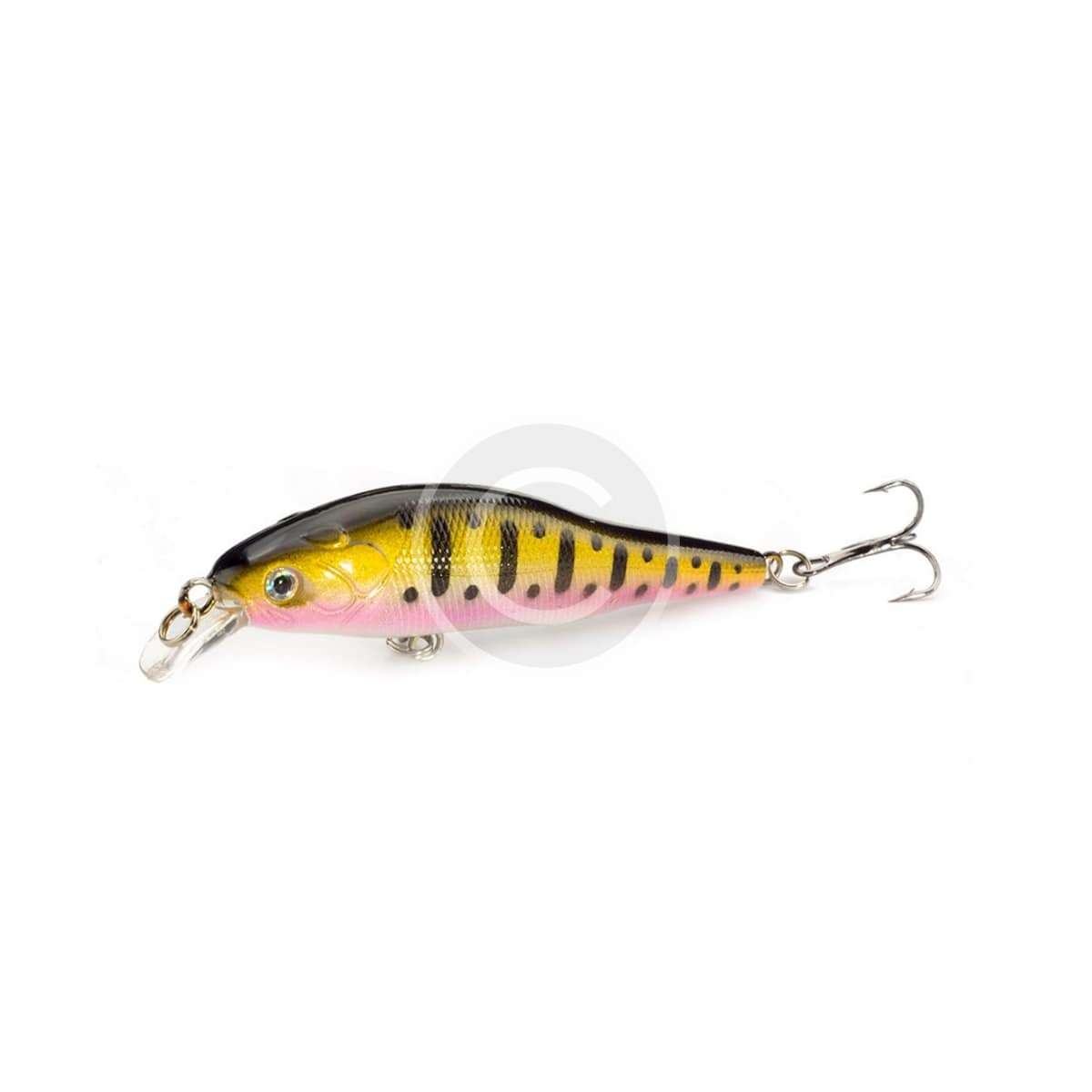 Shimano 19 stella SW 2019 - Imagen 3